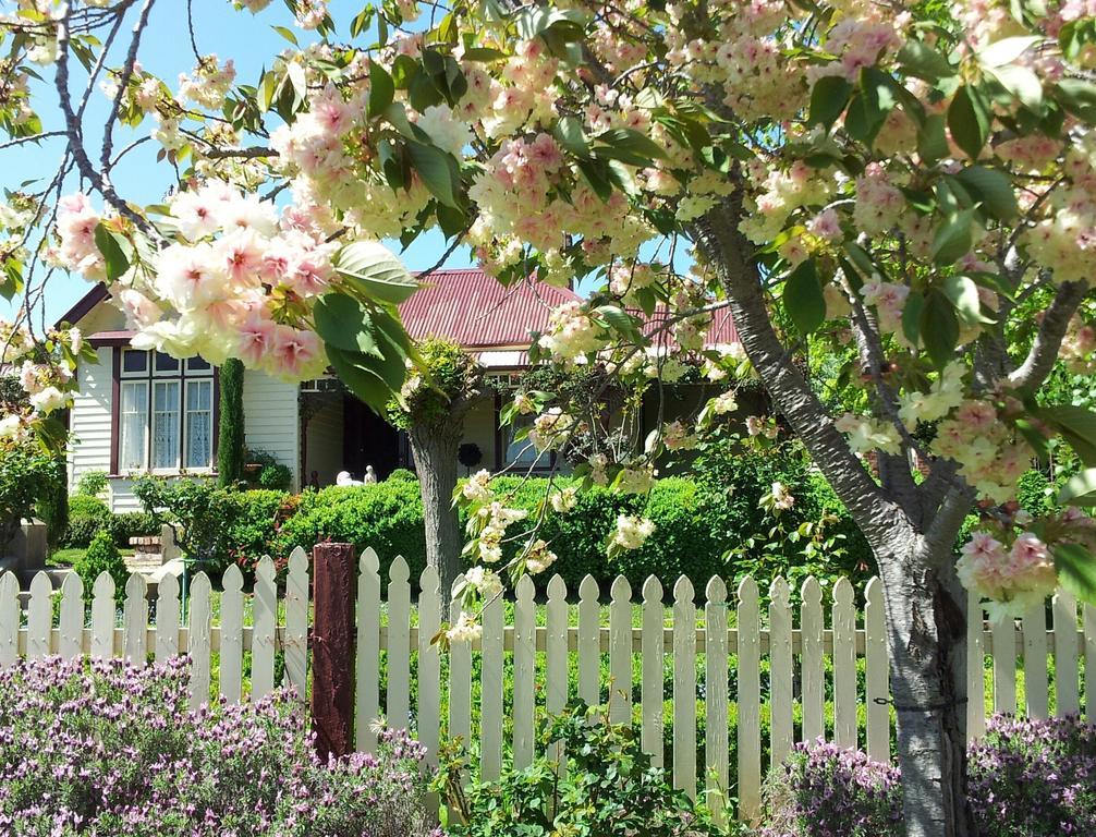 Barnsley House Bed And Breakfast Beechworth Exterior photo